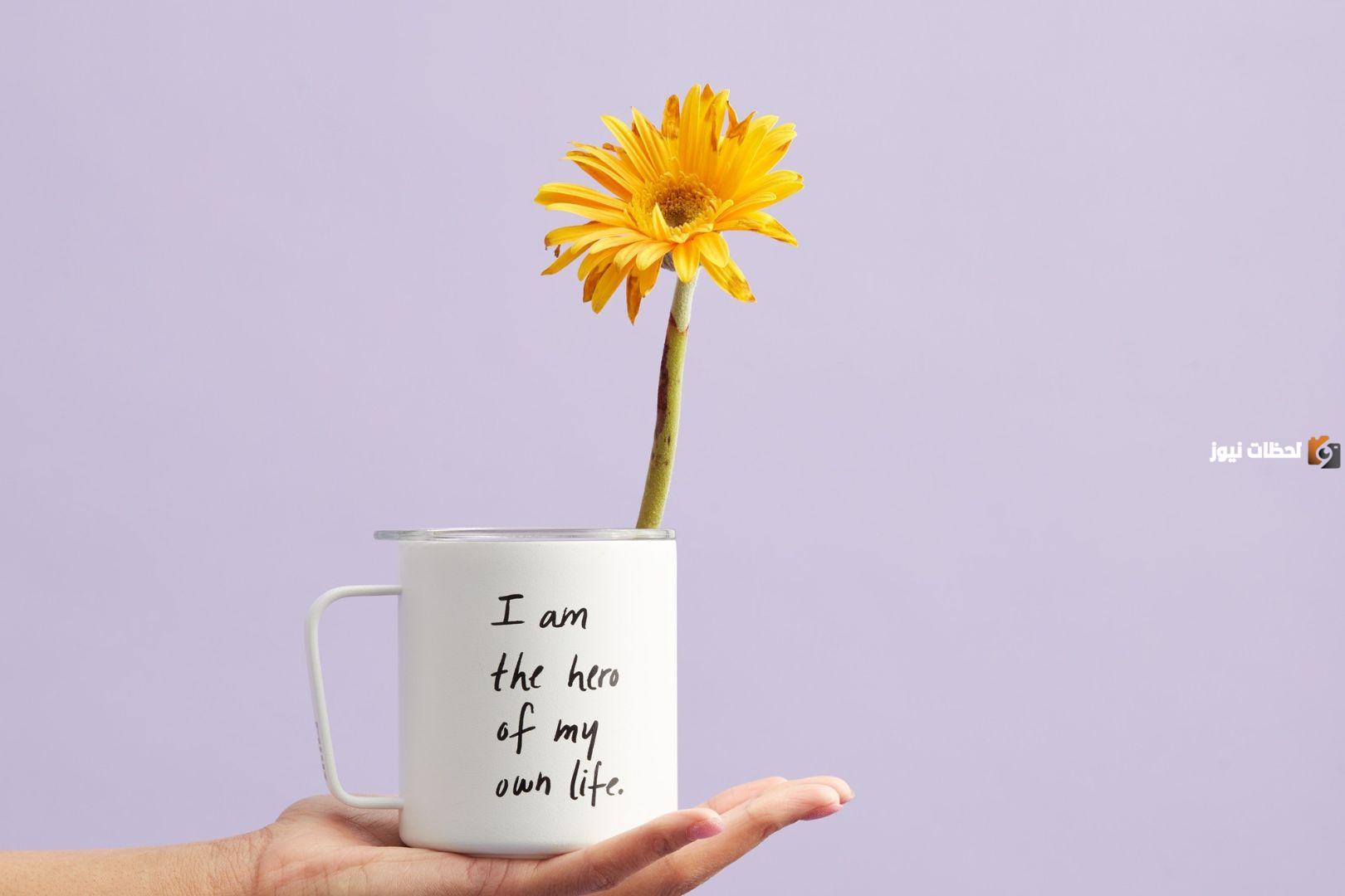 عبارات فخمة عن الحياة