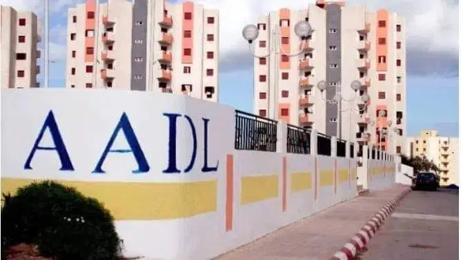 عدل والسكن التقوى