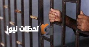 عقوبات صارمة للحفاظ على الأراضي الزراعية: تشمل الحبس وغرامة تصل إلى 5 ملايين جنيه