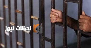 عقوبات صارمة للحفاظ على الأراضي الزراعية: تشمل الحبس وغرامة تصل إلى 5 ملايين جنيه