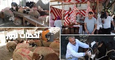 غرامات تصل إلى 10 آلاف جنيه لمن يذبح الأضاحي في الشوارع بمصر