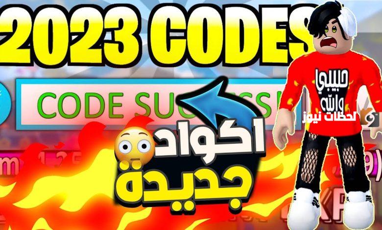كودات بلوكس فروت