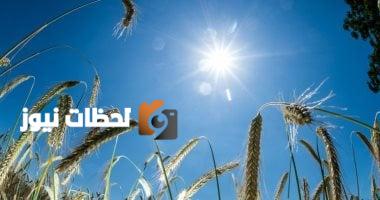 متبقي 28 يومًا حتى الانقلاب الصيفي وبدء فصل الصيف رسميًا.