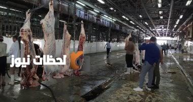 محافظ القاهرة: سبعة مجازر تستقبل أضاحي المواطنين مجاناً خلال أيام العيد