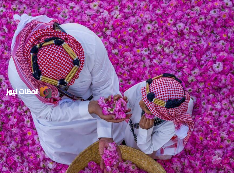 مزارعو ورد الطائف يختتمون موسمهم الذهبي مع انتهاء فترة الحصاد