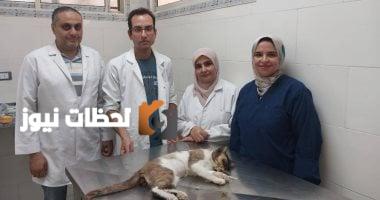 نجاح جراحة لقط في الغربية: تثبيت فك واستئصال عين بعد حادث سير (صور)