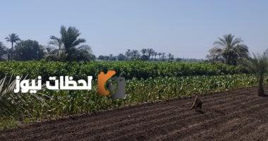 هيئة المجتمعات العمرانية الجديدة تنفي أي شائعات حول تعديل شروط الأراضي