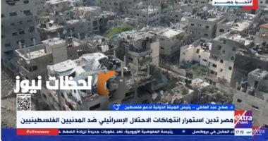هيئة دعم فلسطين: مصر تظل حامية للقضية الفلسطينية والأمن القومي العربي