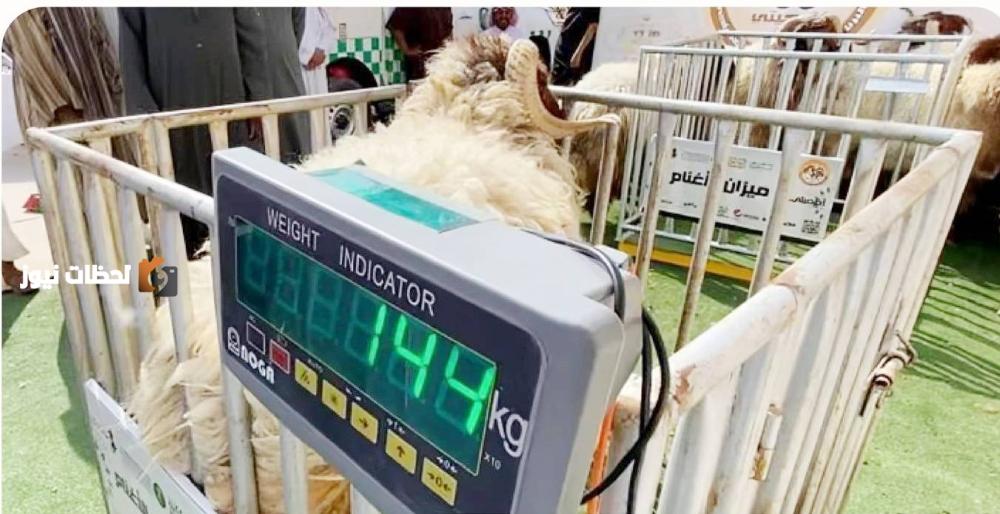 ورشة عمل بالرياض تتناول آليات بيع المواشي بالوزن