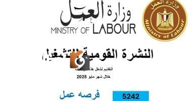 وزارة العمل: توفير 5242 فرصة وظيفية جديدة في 50 شركة خاصة عبر 8 محافظات