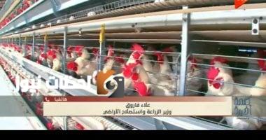 وزير الزراعة: لا يوجد وباء يصيب الثروة الداجنة، ونسبة النفوق طبيعية ولا تتعدى 6%
