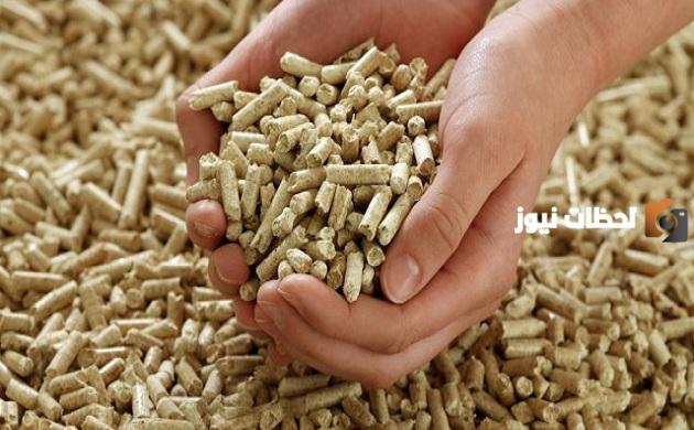 يشير إلى ضرورة توفير الأعلاف المتكاملة الغنية بالعناصر الغذائية اللازمة للأغنام