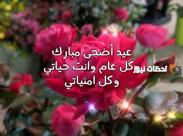 رسائل لحبيبتي