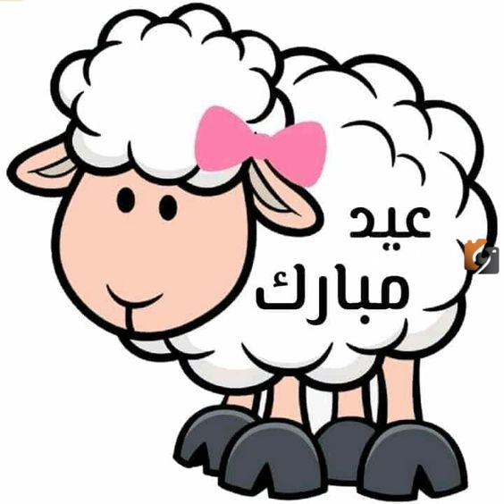 تهنئة عيد الأضحى