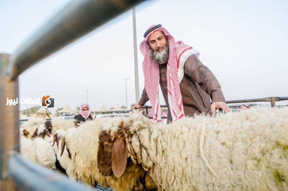 «الأضاحي» تتواجد في السوق الرقمية