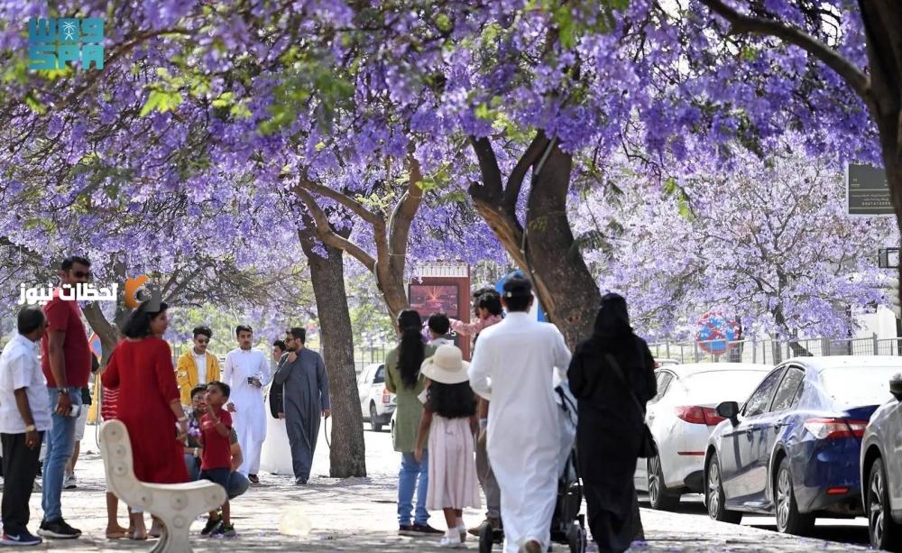 تجاوز عدد السياح 100 مليون للسنة الثانية