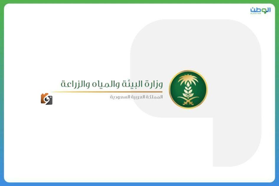 تحرير بيع المواشي الحية بالوزن في أسواق النفع العام خلال شهر محرم