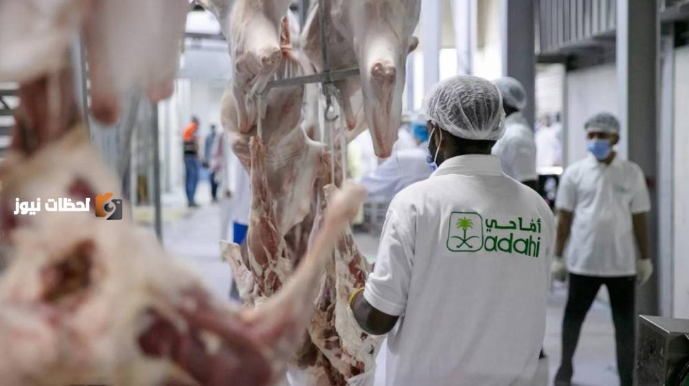 جهود السعودية لإدارة الهدي والأضاحي تصل إلى جاهزيتها التشغيلية للحج