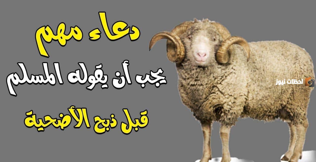 دعاء ما قبل ذبح الأضحية