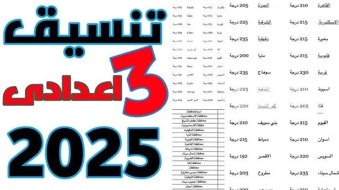تنسيق الثانوية العامة 2025 بعد الاعدادية