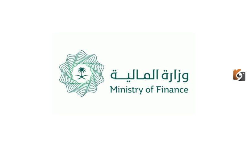 الاستعلام على العوائد السنوية