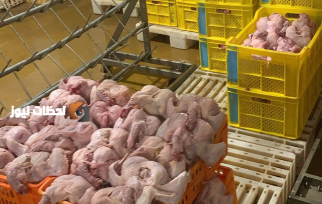 بيئة الخرج تضبط مسلخ عشوائي للدواجن في منطقة الرياض