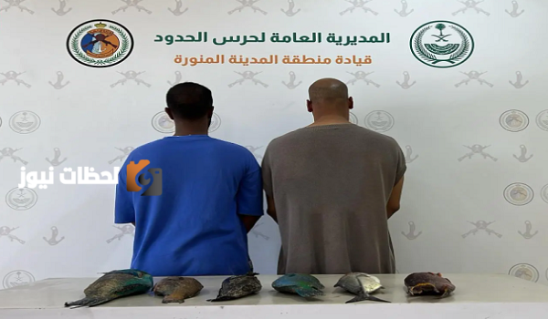 ضبط مخالفين للائحة الامان والسلامة لمزاولي النشاطات البحرية في البلاد