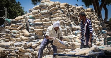 أسعار الأسمنت اليوم الجمعة 31 أكتوبر 2025 والطناً بالتفاصيل الكاملة سعر الأسمنت اليوم الجمعة 31- 10-2025 بكم سعر الطن؟