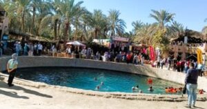 إقبال السياحة الخارجية والداخلية يعزز نشاط السياحة الشتوية والسفاري بواحة. إقبال السياحة الخارجية والداخلية يعزز نشاط السياحة الشتوية والسفاري بواحة.