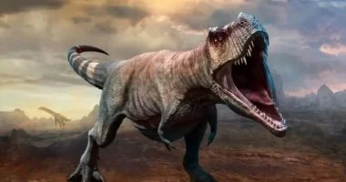 اكتشافات جديدة في نيو مكسيكو تعيد تقييم أسباب انقراض الديناصورات اكتشافات فى نيو مكسيكو تفجر مفاجأة فى كيفية انقراض الديناصورات