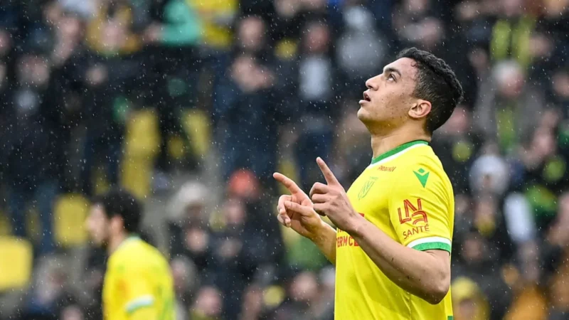 الأناكوندا تفرض واقعها ومدربه في أزمة مستمرة نحو الرحيل