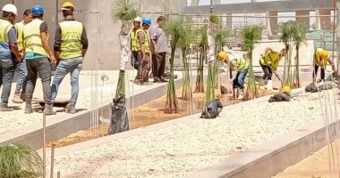 “بردى الشرقية” يزهر في قلب المتحف المصري الكبير برونق تاريخي "بردى الشرقية" يزهر في قلب المتحف المصري الكبير برونق تاريخي رائعة.