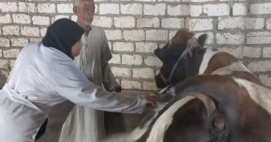 تعرف على مواعيد ومسار الحملة الثالثة لتحصين الحمى القلاعية بالإسكندرية تعرف على مواعيد ومسار الحملة الثالثة لتحصين الحمى القلاعية بالإسكندرية