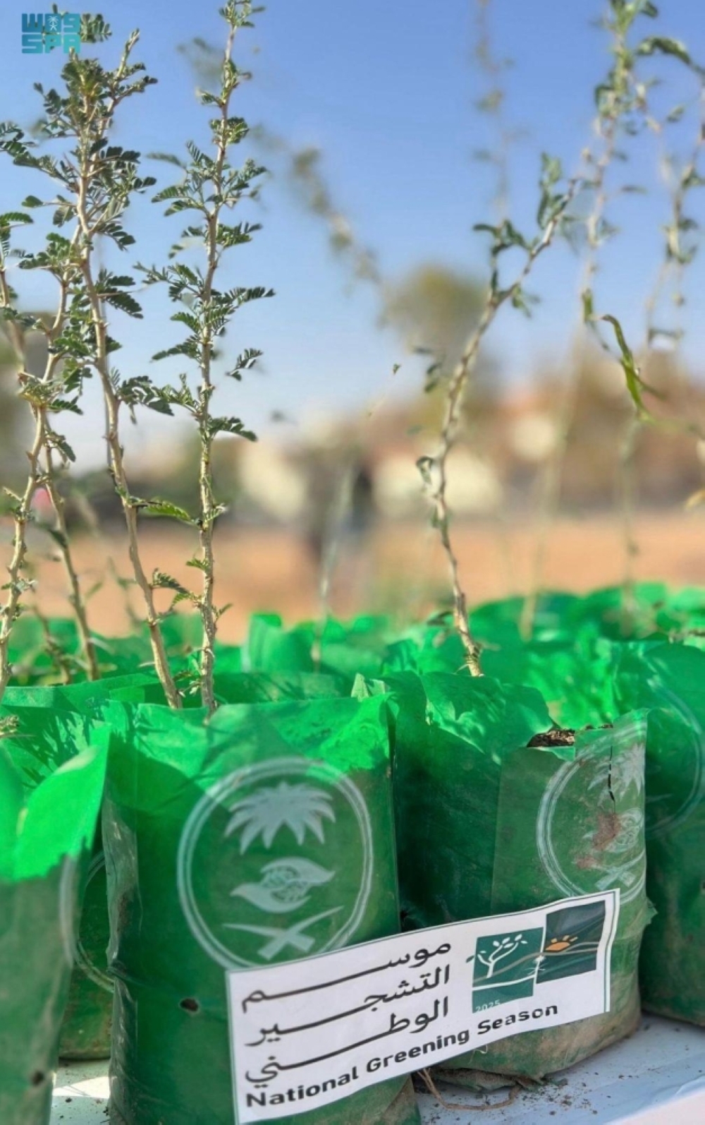 حملة تشجير متميزة بمتنزه رفحاء البري لتعزيز البيئة والجمال الطبيعي