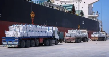 رصيد القمح في صوامع ميناء دمياط يبلغ 100 ألف طن رصيد القمح في صوامع ميناء دمياط يبلغ 100 ألف طن اليوم