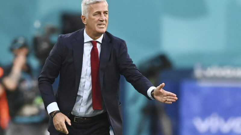 زيمبابوي تختبر منتخب الجزائر قبل مواجهة السعودية في جدة