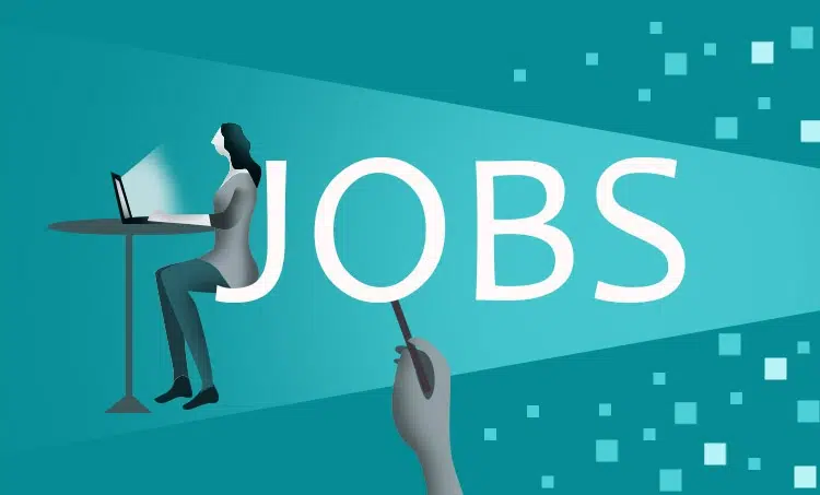 15 وظيفة متاحة