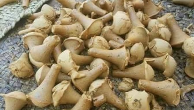 «آيس كريم الصعايدة».. الجلاب التراثي يحافظ على بريقه الذهبي في قنا