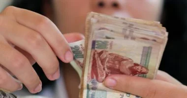 أجندة البورصة في أول نوفمبر تكشف عن توزيع أرباح ضخمة أجندة البورصة أول نوفمبر.. توزيع أرباح بالملايين ونظر طعن المصرية للمنتجعات