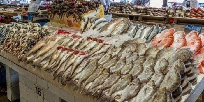 بورصة الأسماك.. سعر السمك اليوم الجمعة في سوق العبور والأسواق المحلية