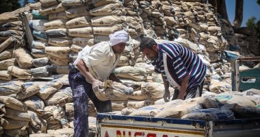 سعر الأسمنت اليوم الأحد 2-11-2025 في مصر
