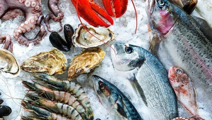 أسعار السمك والجمبري اليوم الثلاثاء 4 نوفمبر 2025.. البلطي بـ 67 جنيهًا