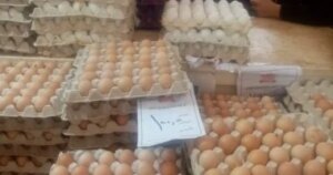 أسعار مخفضة في معرض المنصورة للسلع: طبق البيض بـ100 جنيه