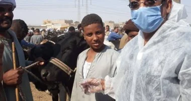 أقصر تُنظم فرق لفحص الأسواق حفاظًا على الثروة الحيوانية.