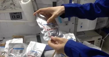 ما أول خضار تمت زراعته في الفضاء؟.. هل يمكننا الزراعة بالمريخ في النهاية