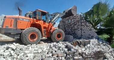 إزالة ألف حالة ضمن الموجة السابعة والعشرين في بني سويف