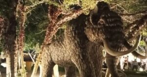 إطلاق تشغيل تجريبي لحديقة الديناصورات بأنطونيادس بالإسكندرية بمساحة 16 ألف متر مربع