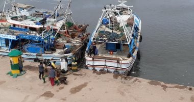 استئناف حركة الملاحة في ميناء البرلس اليوم 16 نوفمبر 2025