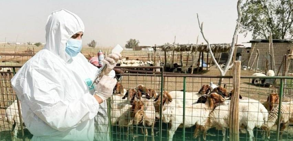 استراتيجية جديدة لتعزيز الوقاية من العدوى الحيوانية والبيئية لحماية صحة المجتمع