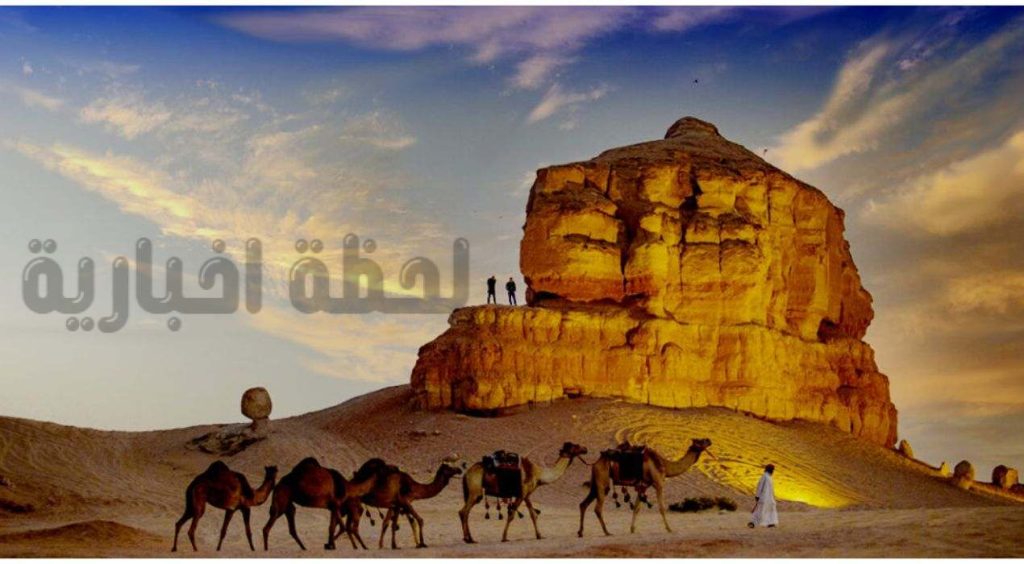استقبال رائع للسياح